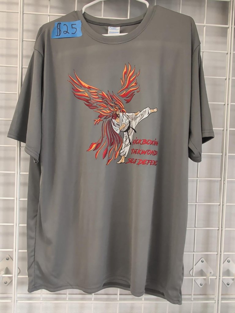 Empower Phoenix T-Shirt (Gray) — Empower Martial Arts Academy