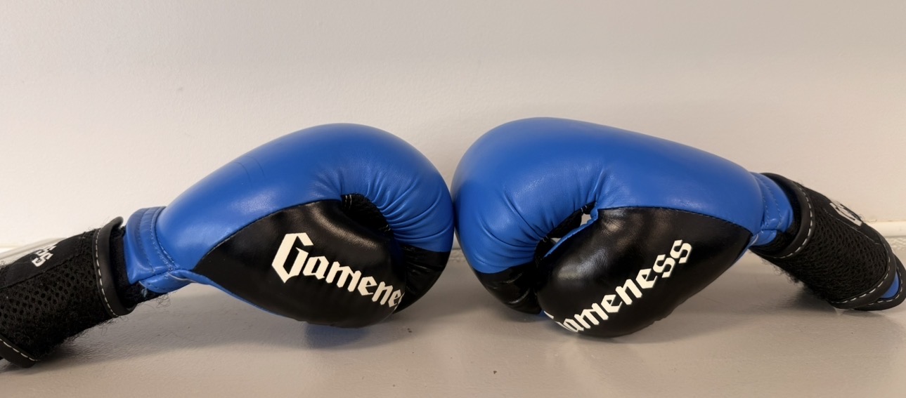 Empower Sparring Gloves — Empower Martial Arts Academy